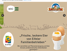 Tablet Screenshot of ei-fel.de